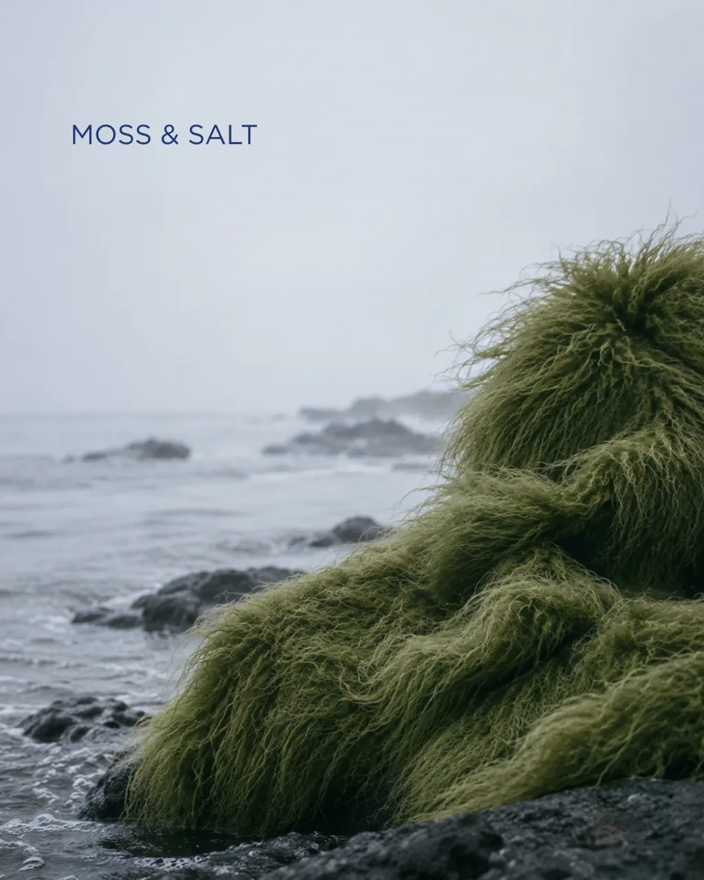 Moss & Salt key visual: the moss-green garment draped over coastal rocks in sea mist, with the Moss & Salt name